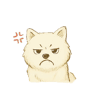 サモエド犬で感情と日常使い（個別スタンプ：19）