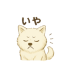サモエド犬で感情と日常使い（個別スタンプ：22）