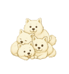 サモエド犬で感情と日常使い（個別スタンプ：24）