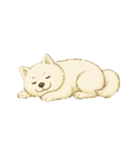 サモエド犬で感情と日常使い（個別スタンプ：26）