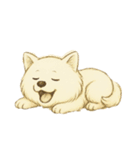 サモエド犬で感情と日常使い（個別スタンプ：27）