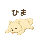 サモエド犬で感情と日常使い（個別スタンプ：29）