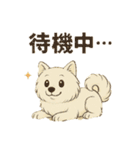 サモエド犬で感情と日常使い（個別スタンプ：30）