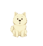 サモエド犬で感情と日常使い（個別スタンプ：32）