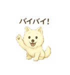 サモエド犬で感情と日常使い（個別スタンプ：33）