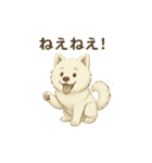 サモエド犬で感情と日常使い（個別スタンプ：35）