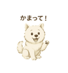 サモエド犬で感情と日常使い（個別スタンプ：36）