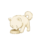 サモエド犬で感情と日常使い（個別スタンプ：37）
