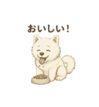 サモエド犬で感情と日常使い（個別スタンプ：38）