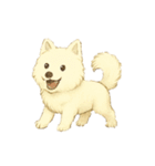 サモエド犬で感情と日常使い（個別スタンプ：39）