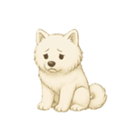 サモエド犬で感情と日常使い（個別スタンプ：40）