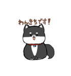 わんきち！2（個別スタンプ：1）