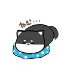 わんきち！2（個別スタンプ：2）