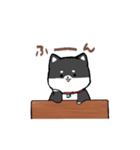 わんきち！2（個別スタンプ：5）