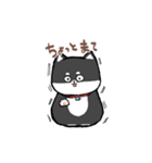 わんきち！2（個別スタンプ：10）