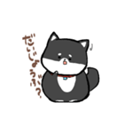 わんきち！2（個別スタンプ：12）