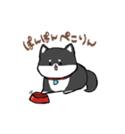 わんきち！2（個別スタンプ：13）