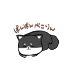 わんきち！2（個別スタンプ：14）