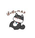 わんきち！2（個別スタンプ：16）