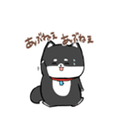 わんきち！2（個別スタンプ：23）