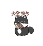わんきち！2（個別スタンプ：24）