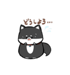 わんきち！2（個別スタンプ：28）