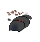 わんきち！2（個別スタンプ：30）