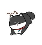 わんきち！2（個別スタンプ：34）