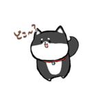 わんきち！2（個別スタンプ：35）