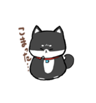 わんきち！2（個別スタンプ：36）