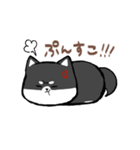 わんきち！2（個別スタンプ：38）