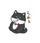 わんきち！2（個別スタンプ：40）