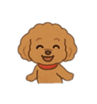 表情で話せるトイプードル（個別スタンプ：11）