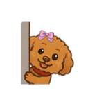 表情で話せるトイプードル（個別スタンプ：32）