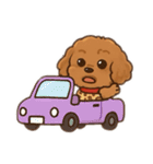 表情で話せるトイプードル（個別スタンプ：36）