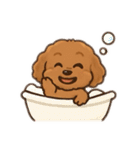 表情で話せるトイプードル（個別スタンプ：37）