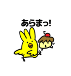 ぴよたとぷりんの毎日スタンプ（個別スタンプ：11）