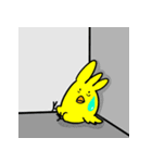 ぴよたとぷりんの毎日スタンプ（個別スタンプ：12）