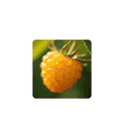 Berry Life Animated Stickers.ベリー癒し（個別スタンプ：9）