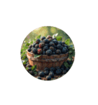 Berry Life Animated Stickers.ベリー癒し（個別スタンプ：13）
