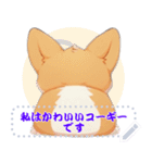 愛らしいコーギーの日常 (MJ1)（個別スタンプ：1）