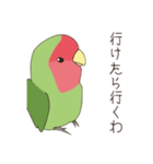 コザクラインコ(まっちゃ)（個別スタンプ：2）
