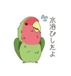 コザクラインコ(まっちゃ)（個別スタンプ：6）