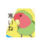 コザクラインコ(まっちゃ)（個別スタンプ：7）