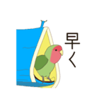 コザクラインコ(まっちゃ)（個別スタンプ：10）