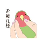 コザクラインコ(まっちゃ)（個別スタンプ：14）