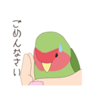 コザクラインコ(まっちゃ)（個別スタンプ：15）