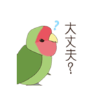 コザクラインコ(まっちゃ)（個別スタンプ：18）