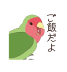 コザクラインコ(まっちゃ)（個別スタンプ：21）