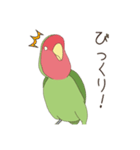 コザクラインコ(まっちゃ)（個別スタンプ：29）